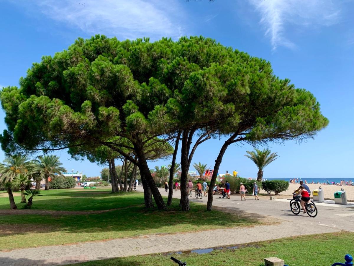 Superbe Appartement Neuf Entre Mer Et Pins Wifi アルジェレス・シュル・メール エクステリア 写真