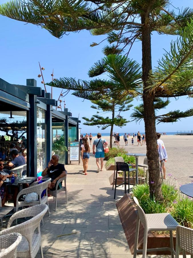 Superbe Appartement Neuf Entre Mer Et Pins Wifi アルジェレス・シュル・メール エクステリア 写真