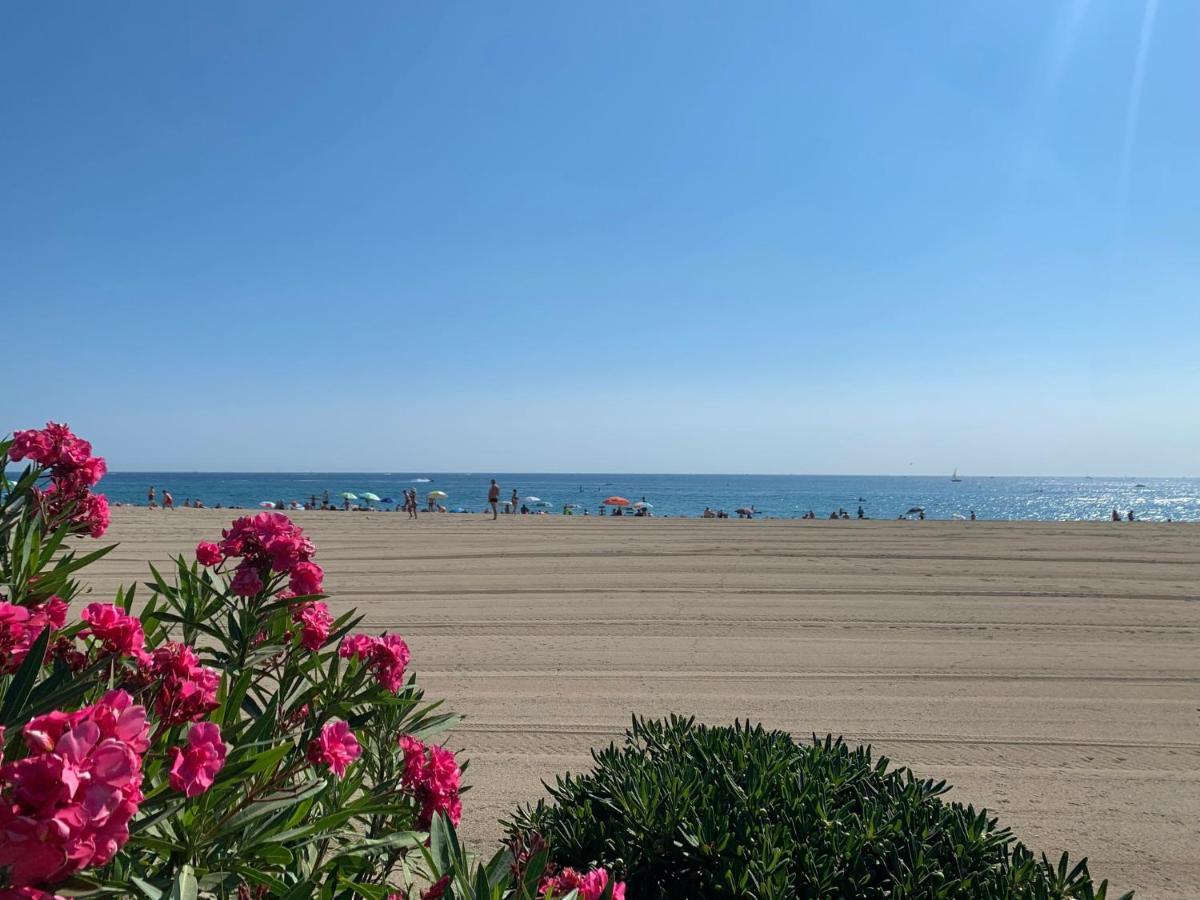 Superbe Appartement Neuf Entre Mer Et Pins Wifi アルジェレス・シュル・メール エクステリア 写真